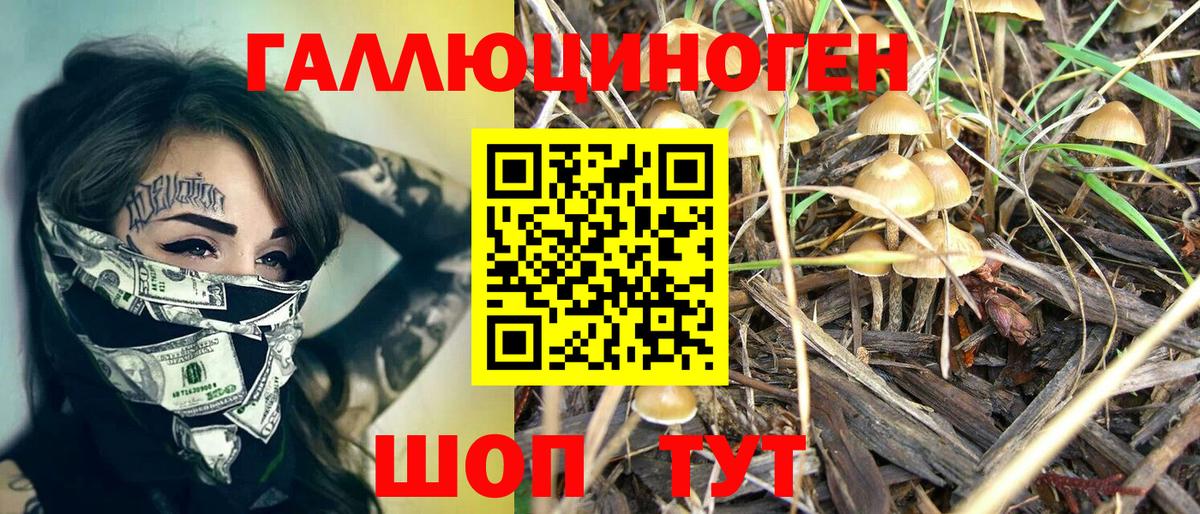 купить   Вход с VPN  Ярцево  Галлюциногенные грибы Magic Shrooms 
